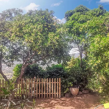 1 Bedroom Stunning In Cargese